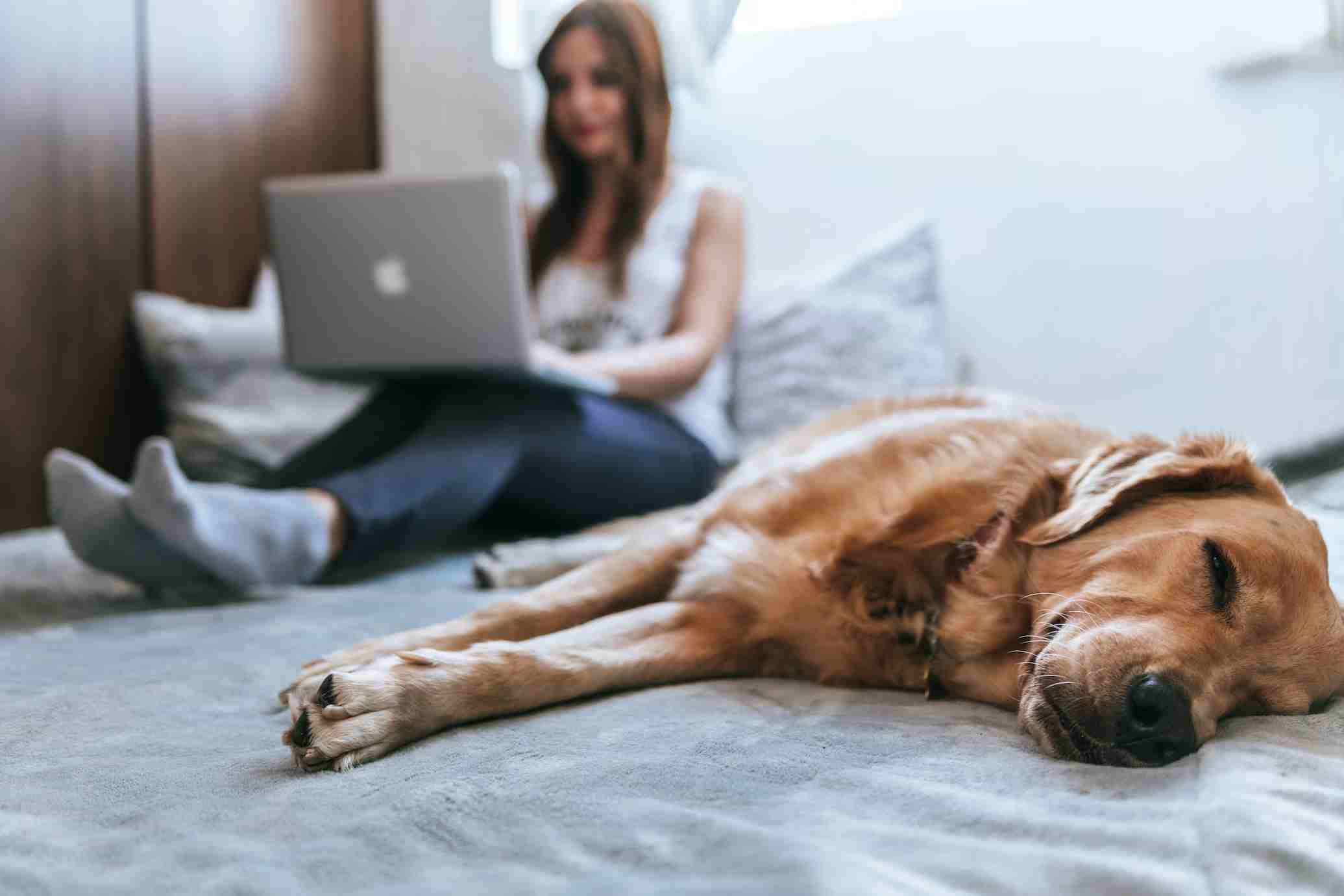 Vídeo chat aleatório, converse com estranhos, paquere e faça novos amigos em nosso aplicativo de bate-papo online - Chat Aleatório